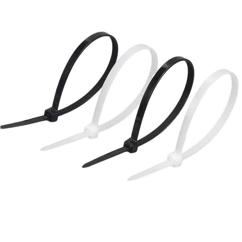 Rislan (Lot de 100)